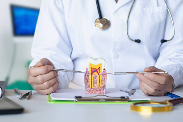 Best Walk-In Emergency Dental Services in Snyder, OK